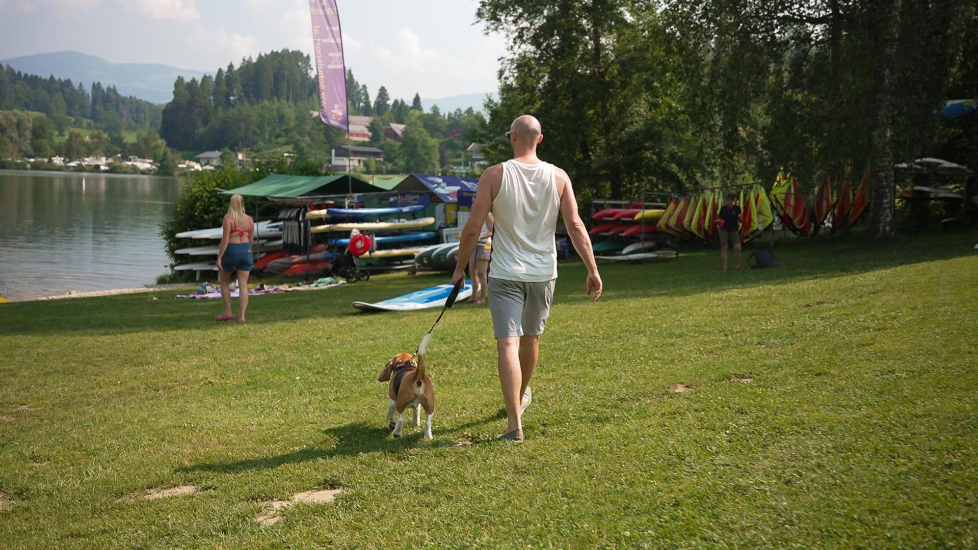 Feriendorf Am Maltschacher See Feldkirchen in Kärnten المظهر الخارجي الصورة